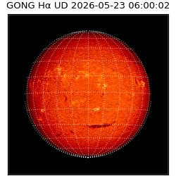 gong - 2026-05-23T06:00:02