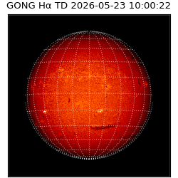 gong - 2026-05-23T10:00:22