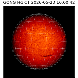 gong - 2026-05-23T16:00:42