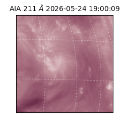 saia - 2026-05-24T19:00:09.623000