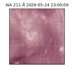 saia - 2026-05-24T23:00:09.624000