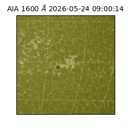 saia - 2026-05-24T09:00:14.123000