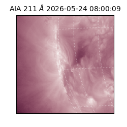 saia - 2026-05-24T08:00:09.624000