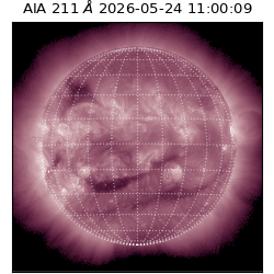 saia - 2026-05-24T11:00:09.637000