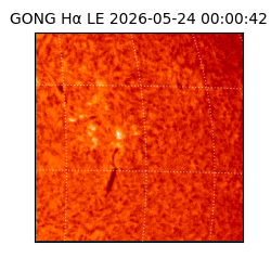 gong - 2026-05-24T00:00:42