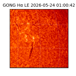 gong - 2026-05-24T01:00:42