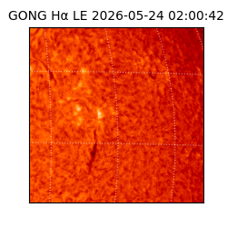 gong - 2026-05-24T02:00:42
