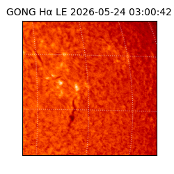 gong - 2026-05-24T03:00:42