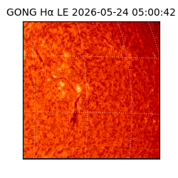 gong - 2026-05-24T05:00:42