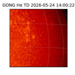 gong - 2026-05-24T14:00:22