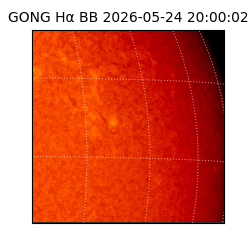 gong - 2026-05-24T20:00:02