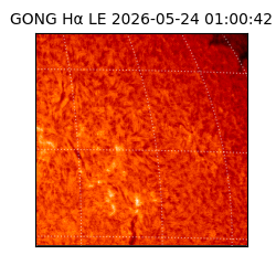 gong - 2026-05-24T01:00:42