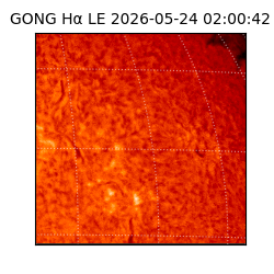 gong - 2026-05-24T02:00:42