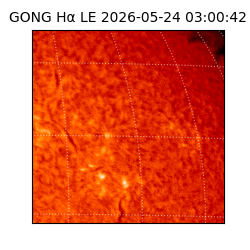 gong - 2026-05-24T03:00:42