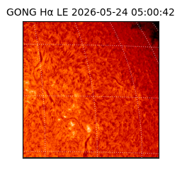 gong - 2026-05-24T05:00:42