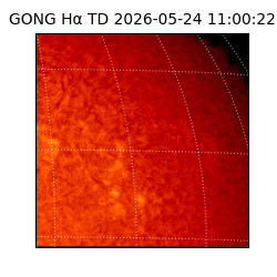 gong - 2026-05-24T11:00:22
