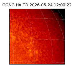 gong - 2026-05-24T12:00:22