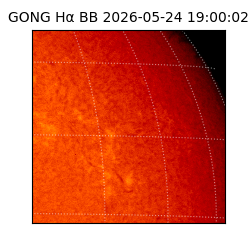 gong - 2026-05-24T19:00:02