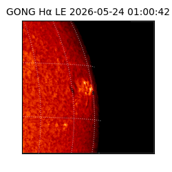 gong - 2026-05-24T01:00:42
