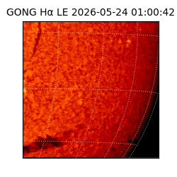 gong - 2026-05-24T01:00:42