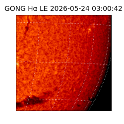 gong - 2026-05-24T03:00:42