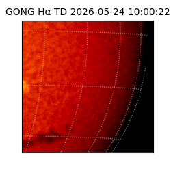 gong - 2026-05-24T10:00:22