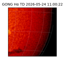 gong - 2026-05-24T11:00:22
