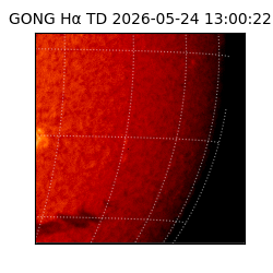 gong - 2026-05-24T13:00:22