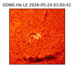 gong - 2026-05-24T03:00:42
