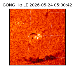 gong - 2026-05-24T05:00:42