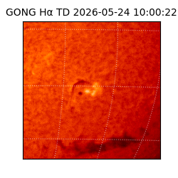 gong - 2026-05-24T10:00:22