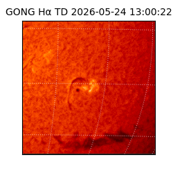 gong - 2026-05-24T13:00:22