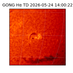 gong - 2026-05-24T14:00:22
