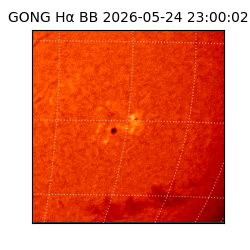 gong - 2026-05-24T23:00:02