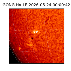 gong - 2026-05-24T00:00:42