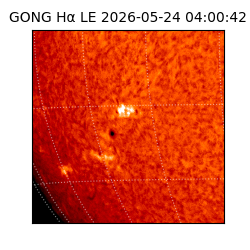 gong - 2026-05-24T04:00:42
