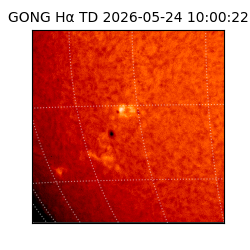 gong - 2026-05-24T10:00:22