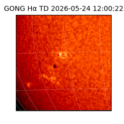 gong - 2026-05-24T12:00:22