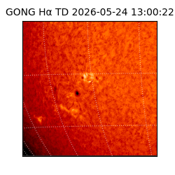 gong - 2026-05-24T13:00:22