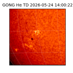 gong - 2026-05-24T14:00:22