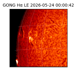 gong - 2026-05-24T00:00:42