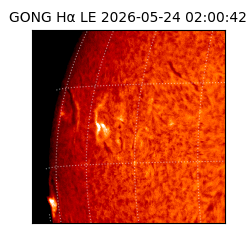 gong - 2026-05-24T02:00:42