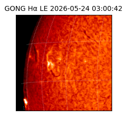 gong - 2026-05-24T03:00:42