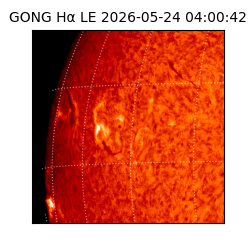 gong - 2026-05-24T04:00:42
