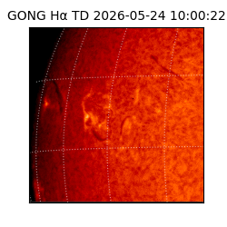 gong - 2026-05-24T10:00:22