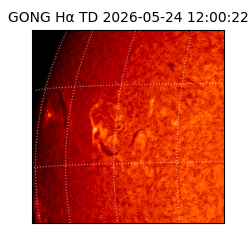 gong - 2026-05-24T12:00:22