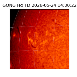 gong - 2026-05-24T14:00:22