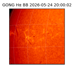 gong - 2026-05-24T20:00:02