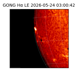 gong - 2026-05-24T03:00:42
