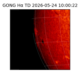 gong - 2026-05-24T10:00:22